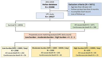 The Burden of Ventricular Premature Complex Is Associated With Cardiovascular Mortality